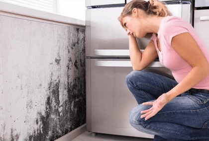 A penészedés legfőbb okai, és mit tehetünk ellene